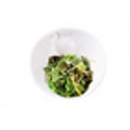 E1 Salade de Wakamé