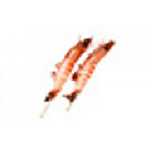 Y10 Yakitori Gambas x2
