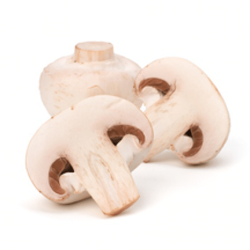 Supplément Champignons