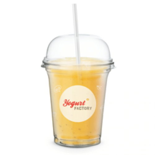 Grand Jus de Fruits de la Facto