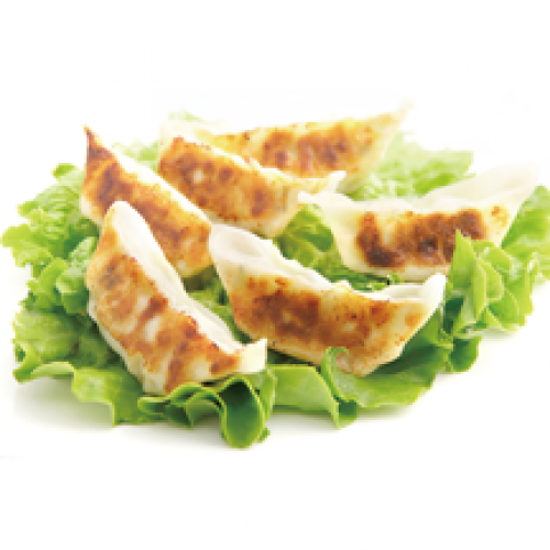 H19 Gyoza Japonaise x5