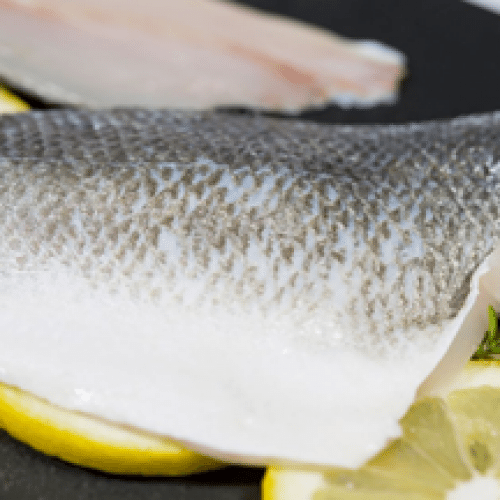 Filet de Bar Sauvage