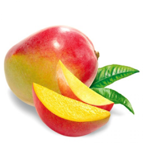 Mangue BIO Pérou