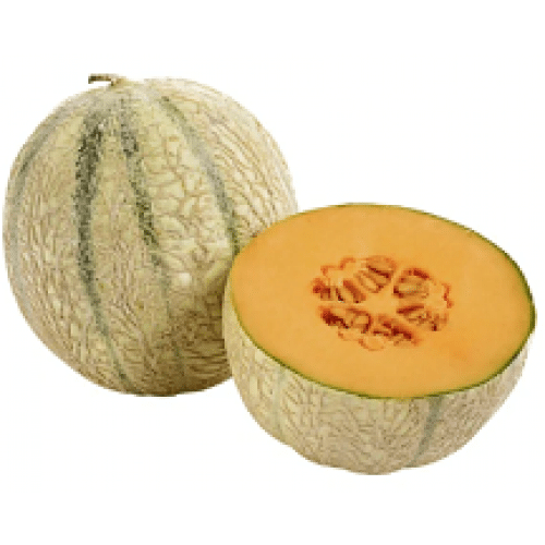Melon Charentais BIO France