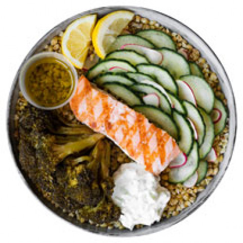 Sea Sunny Salmon