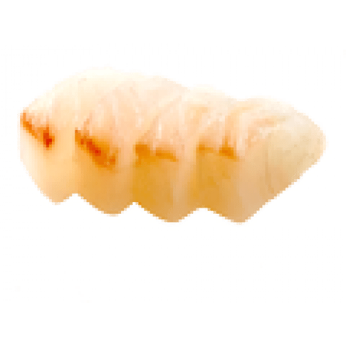 Sashimi daurade x8