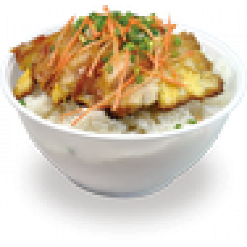Toriyaki don