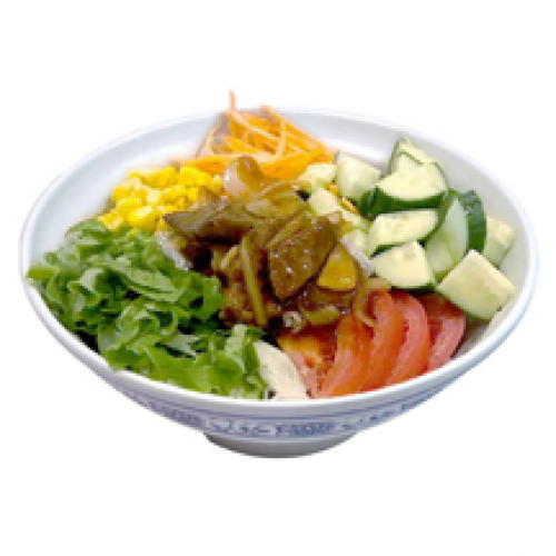 Viet Bowl Bœuf
