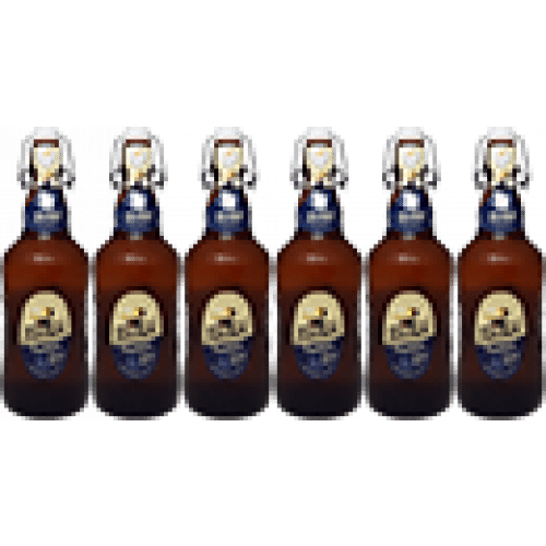Fisher 65 cl x6