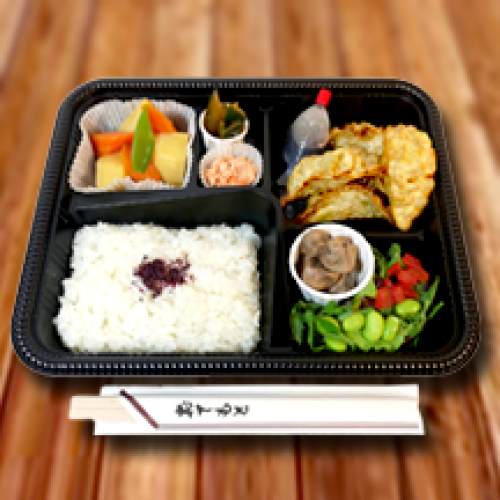 Plateau Bento Gyoza Végétarien