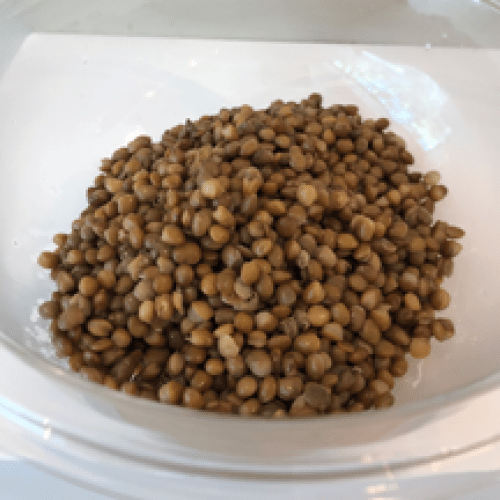 Base Lentille 170 gr