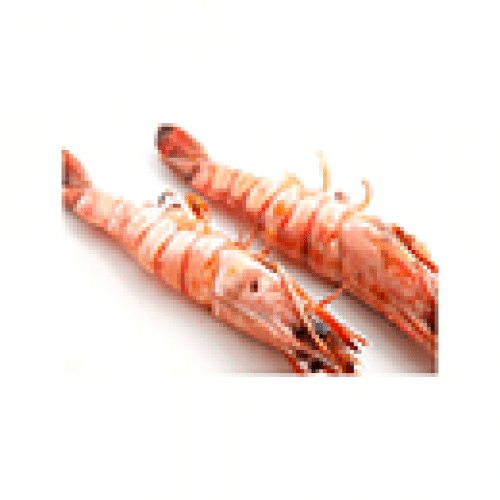 Yakitori gambas x2