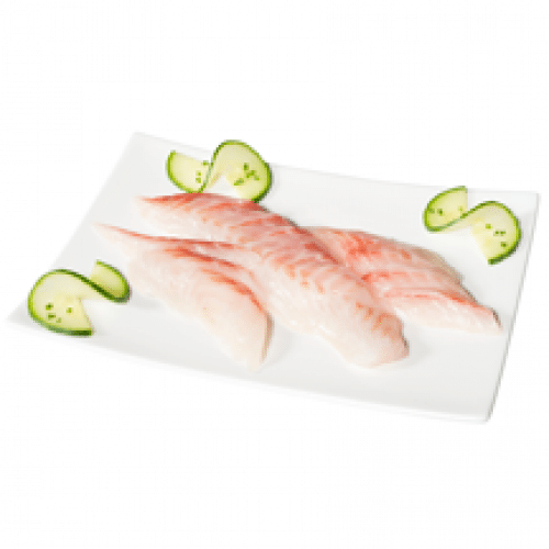 Sashimi Daurade x15
