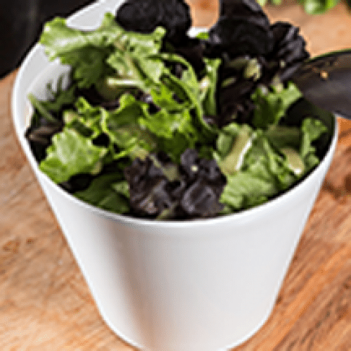 Salade Verte