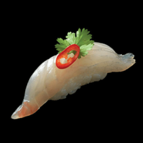 Sushi - Daurade