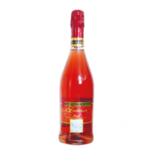 Lambrusco di Modena DOP 75cl