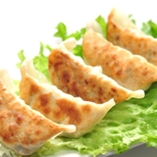 E5 - Raviolis Japonais x5