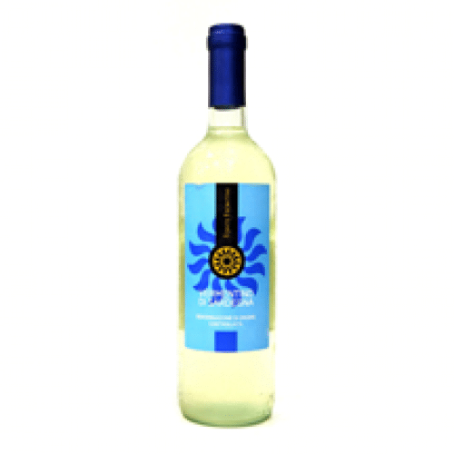 Vermentino - Blanc
