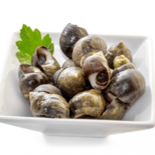 Bigorneaux 70 g