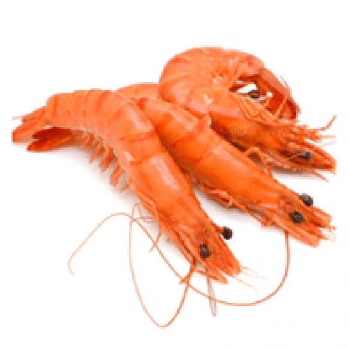 Crevettes de Madagascar x6