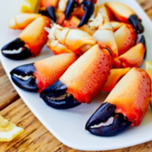 Pinces de Crabe XL (grosses) x2