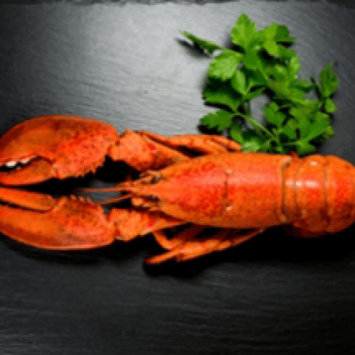 Homard Breton (1/2)