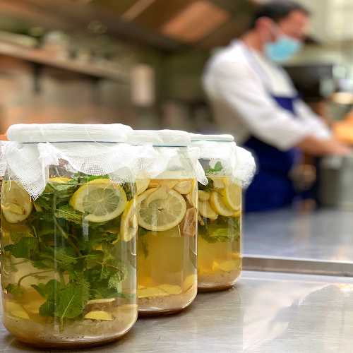 Kéfir infusé, Menthe, Gingembre
