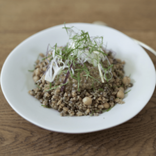 Bolognaise de Lentilles, Ricotta