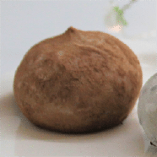 Mochi Chocolat