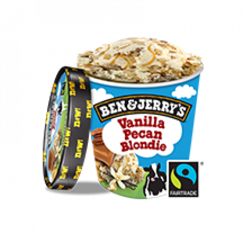 Ben & Jerry's Vanilla Pecan Blondie 465ml
