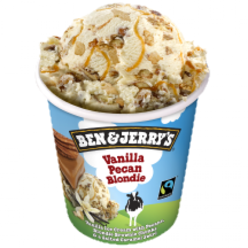 Ben & Jerry's Vanilla Pecan Blondie 500ml