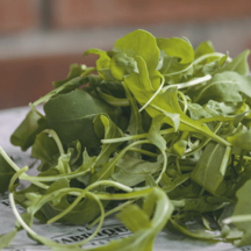 Salade de Roquette