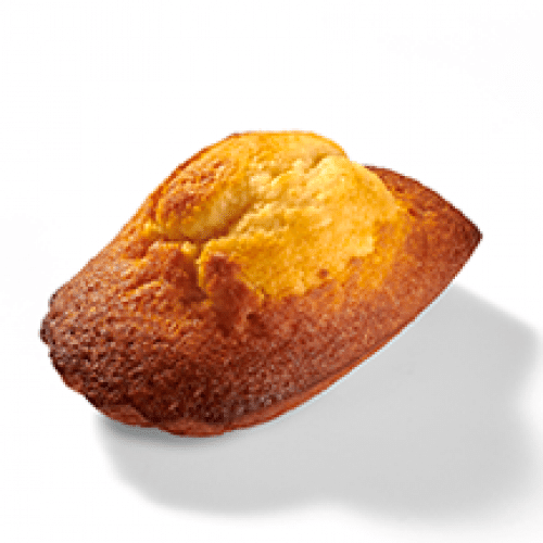 La Madeleine à la Fleur de Sureau