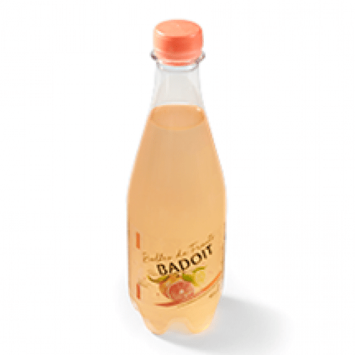 Badoit Agrum 40 cl