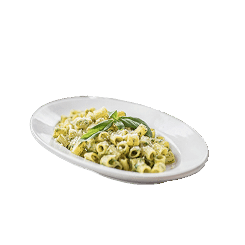 Maccheroncini pesto genovese