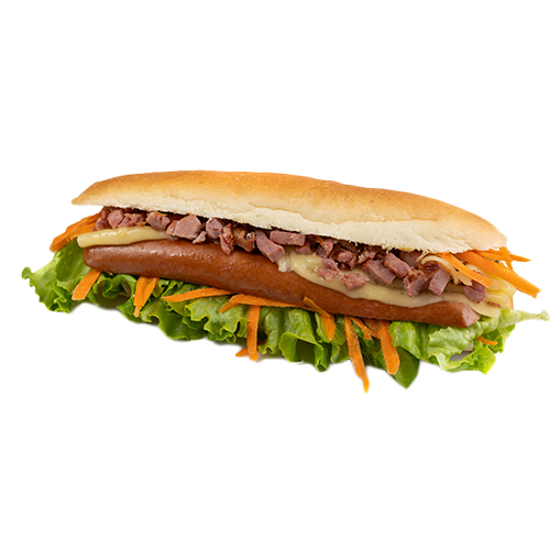 Cachorro salsicha