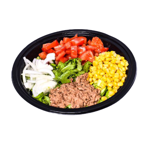 Salata ton