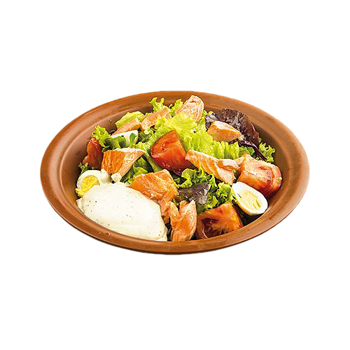 Salata cu somon copt