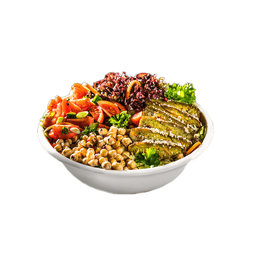 Salata Oriental Vegan
