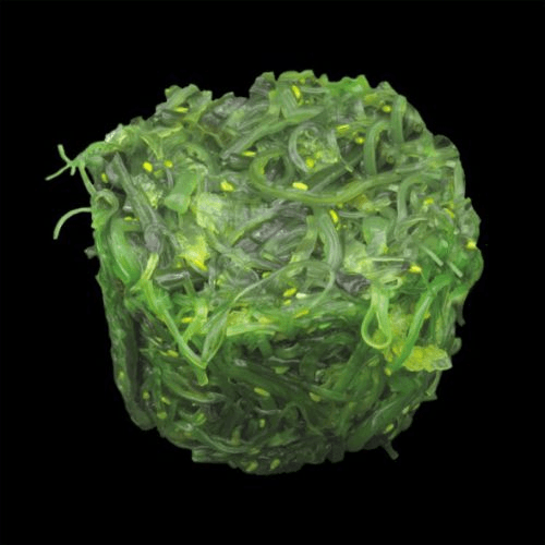 Alge Seaweed