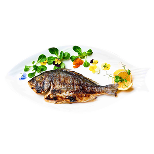 Dorada la gratar