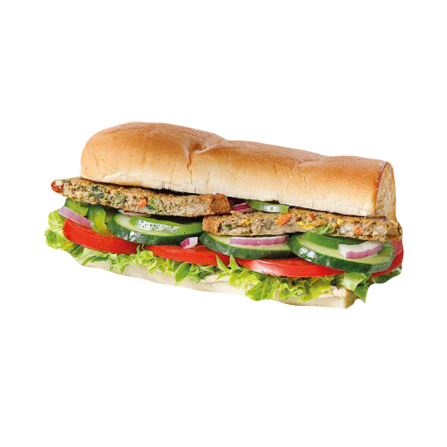 Veggie Patty 15