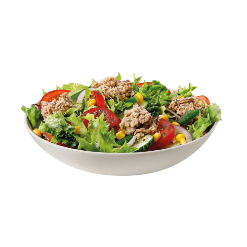 Ton Nicoise
