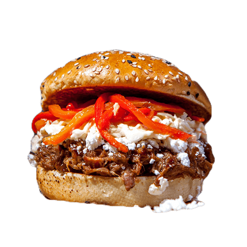 Burger Major Tom + Crispy Fries