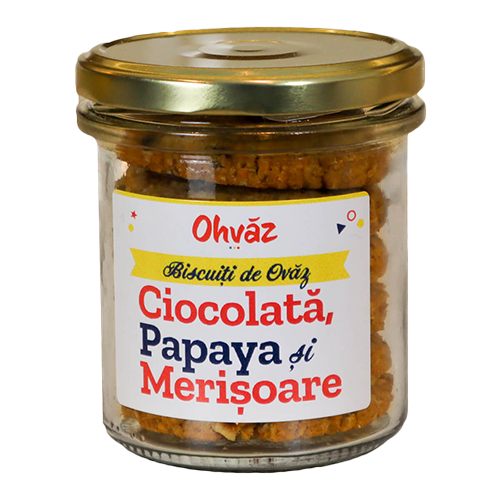 Biscuiti de ovaz cu ciocolata, papaya si merisoare