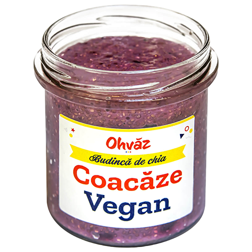 Chia cu coacaze (Vegan)