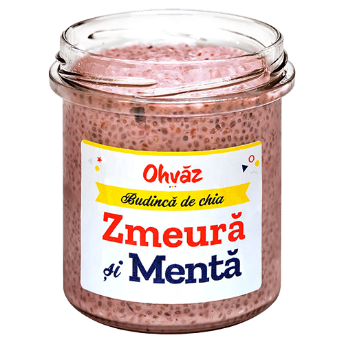 Chia cu zmeura si menta (Vegan)