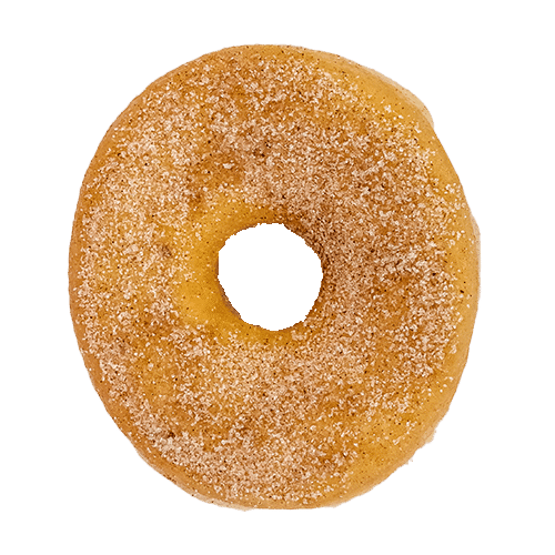 Cinnamon Donut