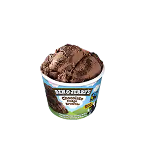 Ben & Jerry's Chocolate Fudge Brownie 100ml