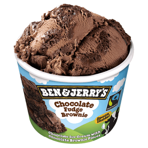 Ben & Jerry's Chocolate Fudge Brownie (100ml)
